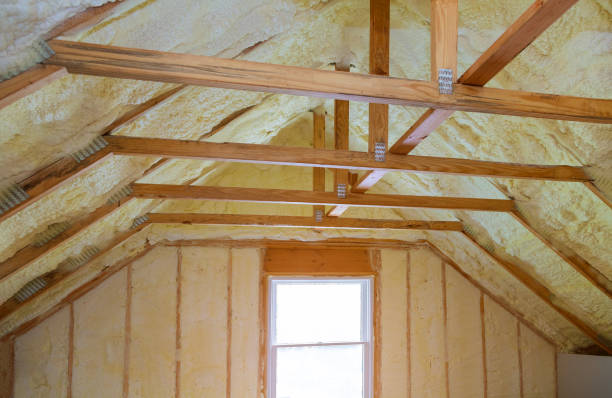 Best Commercial Insulation in La Riviera, CA