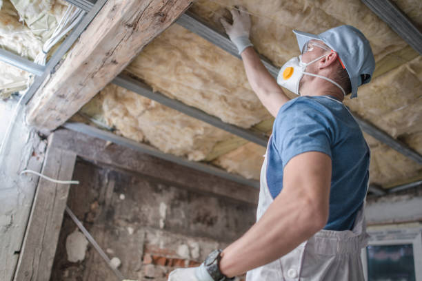 Best Geographic-Specific Insulation Services in La Riviera, CA
