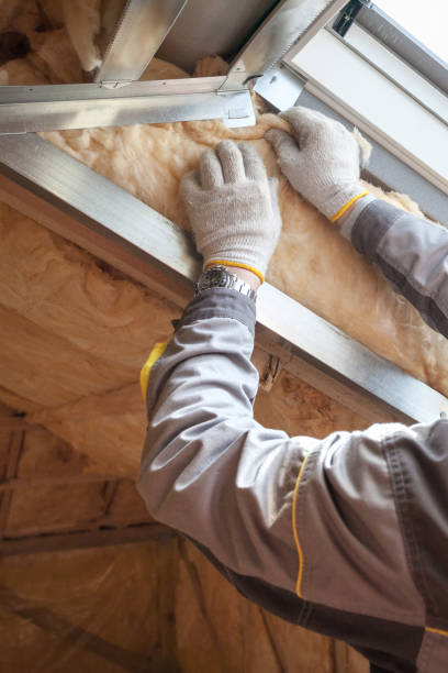 Best Energy Efficiency Insulation in La Riviera, CA