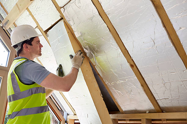 Best Residential Insulation in La Riviera, CA