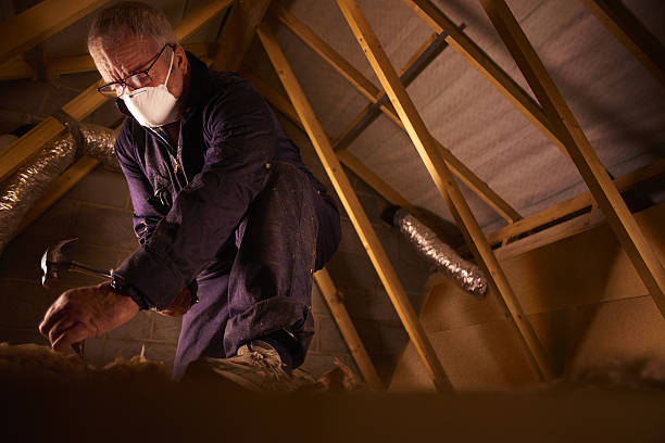 Best Cellulose Insulation in La Riviera, CA